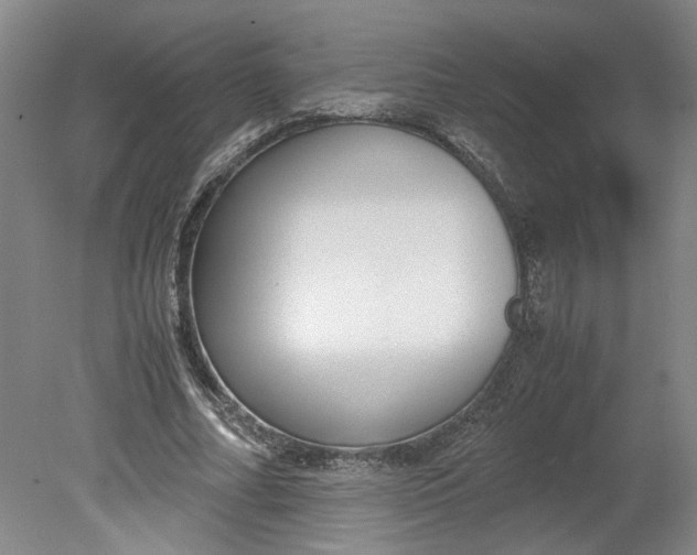 X0000080710682200701021029