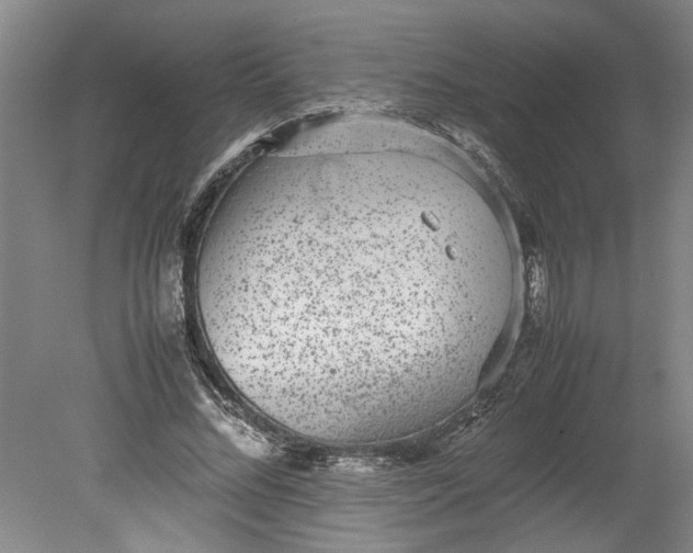 X0000080710684200701021029