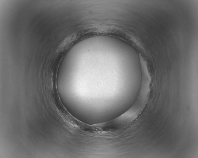 X0000080710685200701021029