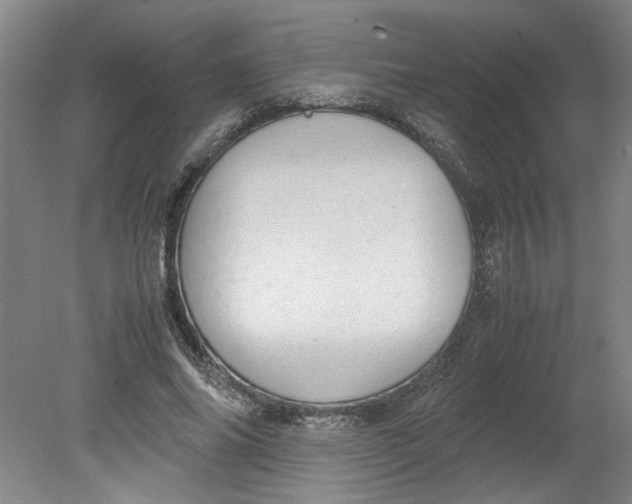 X0000080710686200701021029