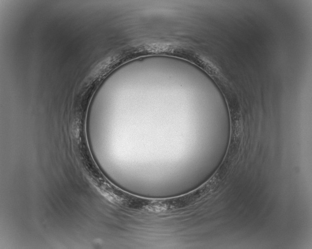 X0000080710687200701021029