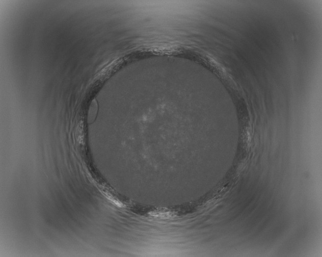 X0000080710689200701021029