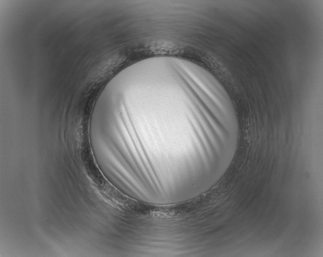 X0000080710690200701021029