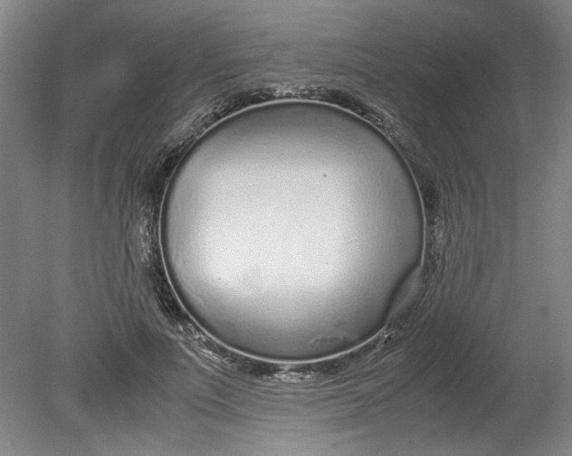 X0000080710691200701021029