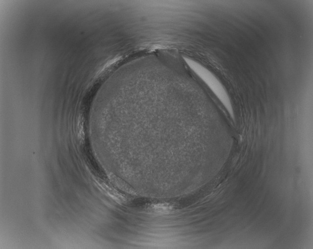 X0000080710692200701021029