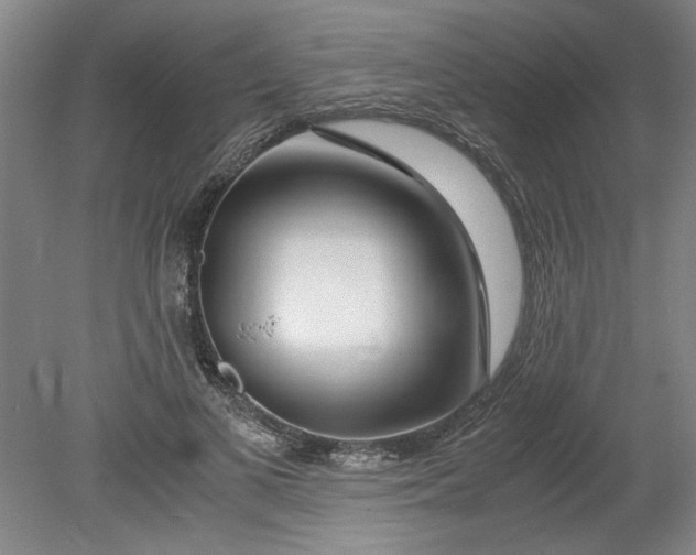 X0000080710693200701021029