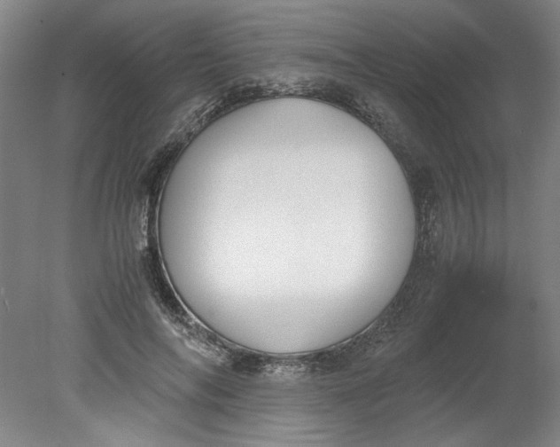 X0000080710694200701021029