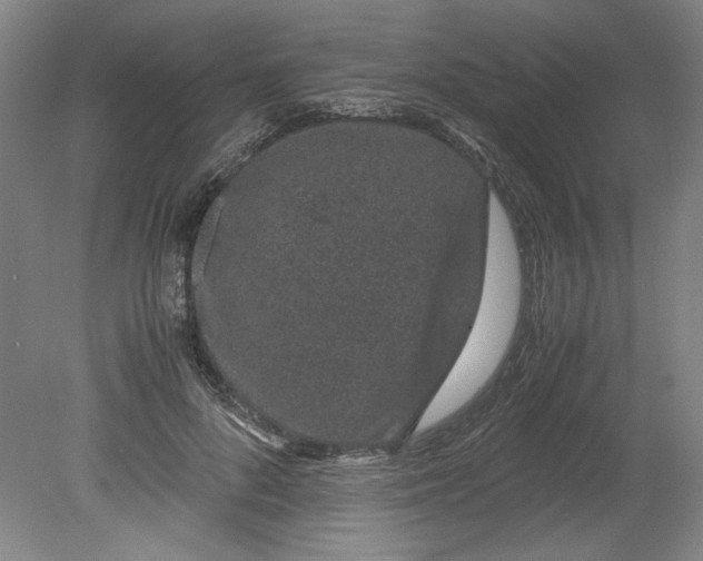 X0000080710696200701021029