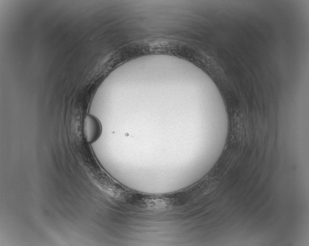 X0000080710698200701021029