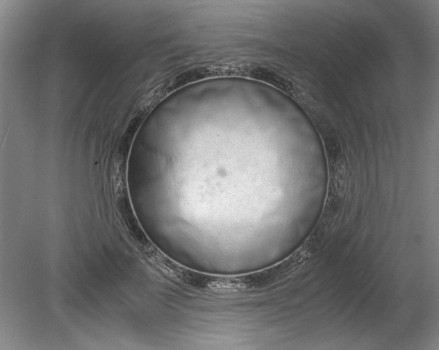 X0000080710699200701021028