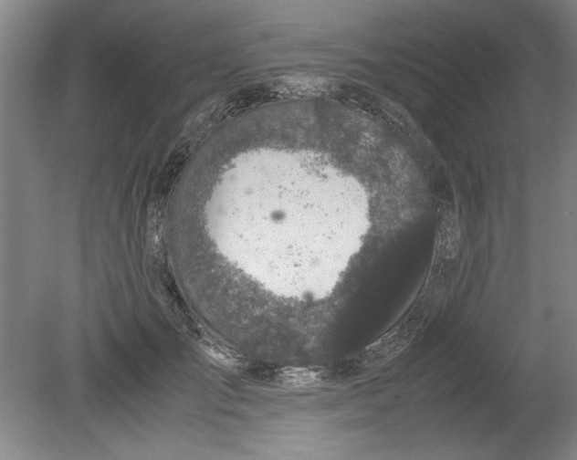 X0000080710701200701021028