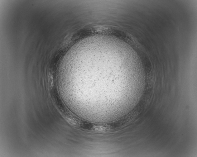 X0000080710703200701021028