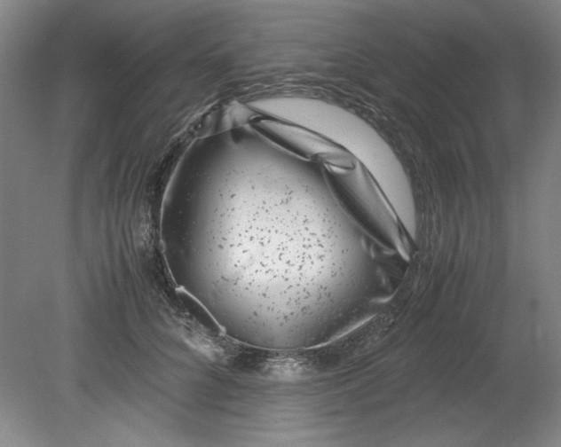 X0000080710704200701021028