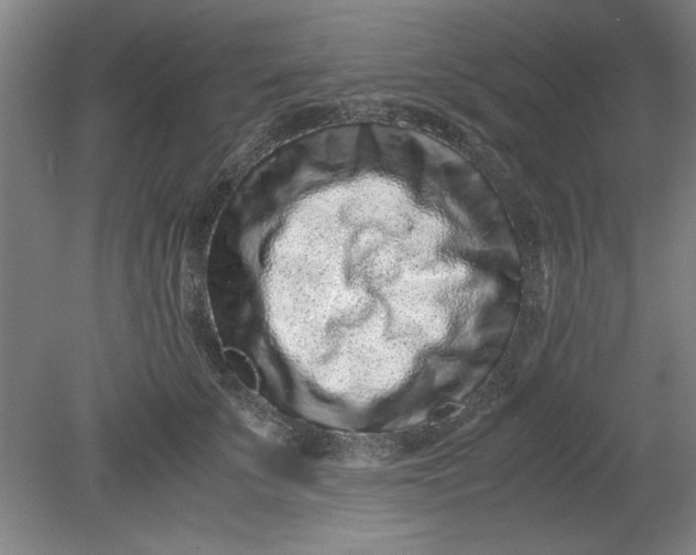 X0000080710707200701021028