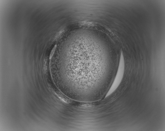 X0000080710708200701021028