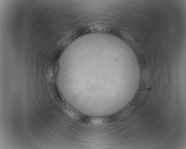 X0000080710709200701021028