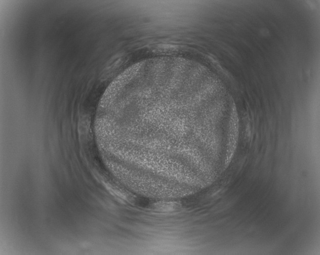 X0000080710711200701021028