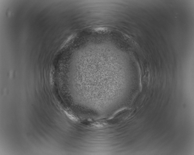 X0000080710712200701021028