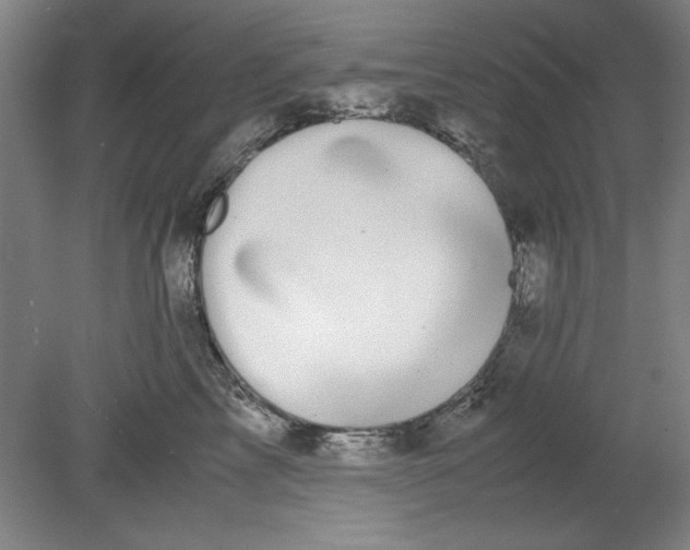 X0000080710713200701021028