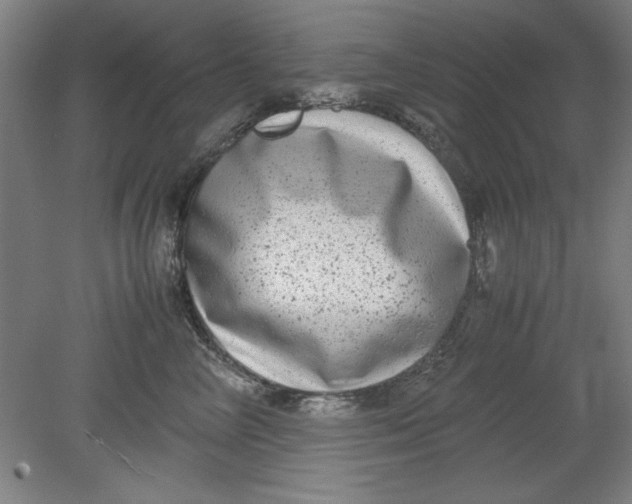 X0000080710714200701021028