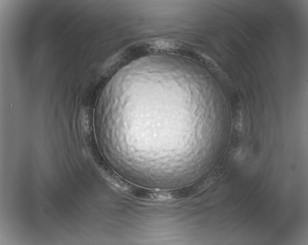 X0000080710715200701021028