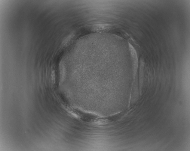 X0000080710716200701021028