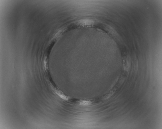 X0000080710718200701021028