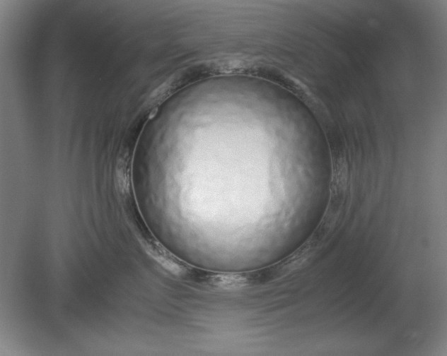 X0000080710719200701021028