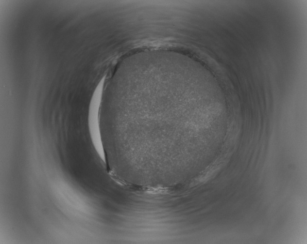 X0000080710720200701021028