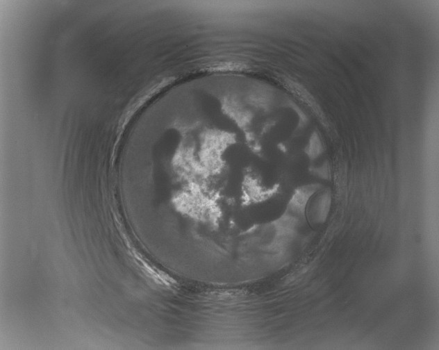 X0000080710721200701021027