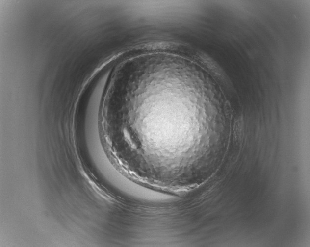 X0000080710722200701021027