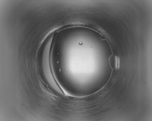 X0000080710723200701021027