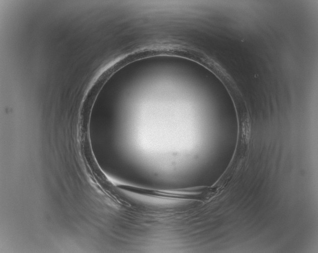 X0000080710724200701021027