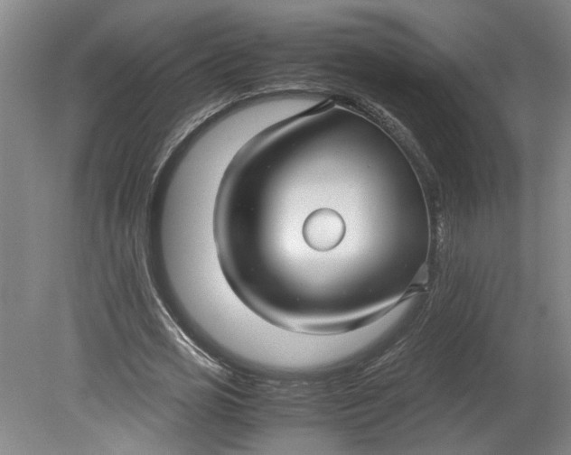 X0000080710725200701021027