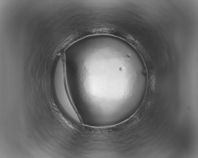 X0000080710729200701021027