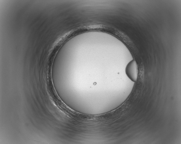 X0000080710732200701021028