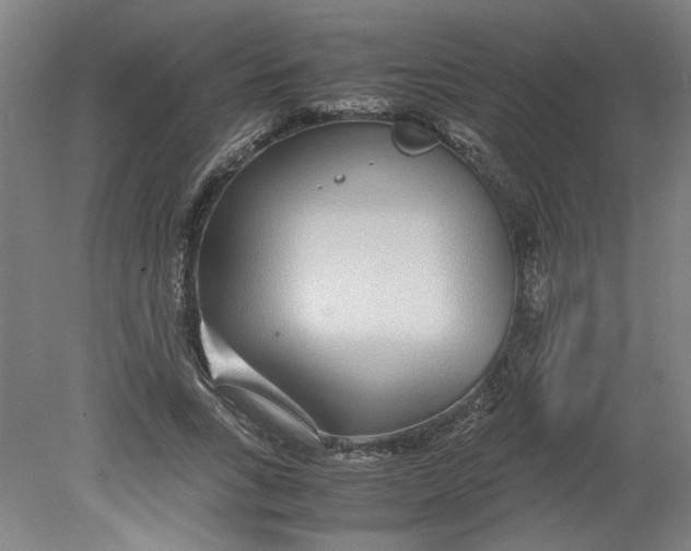 X0000080710735200701021028