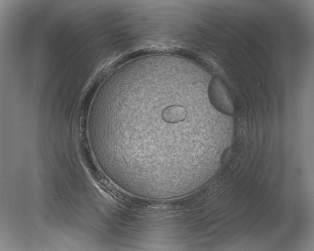 X0000080710736200701021028