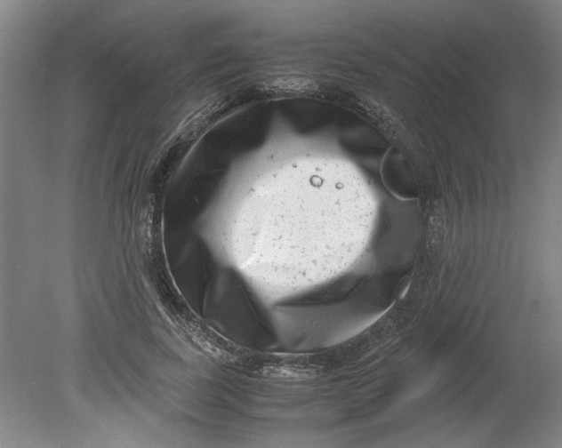 X0000080710739200701021028