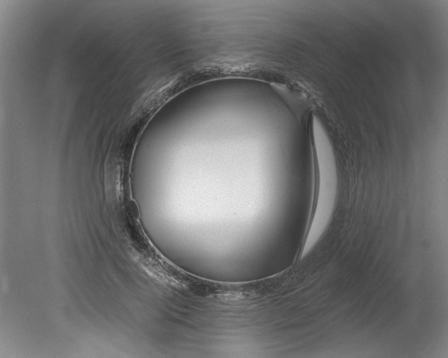 X0000080710740200701021028