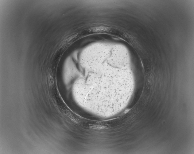 X0000080710743200701021028