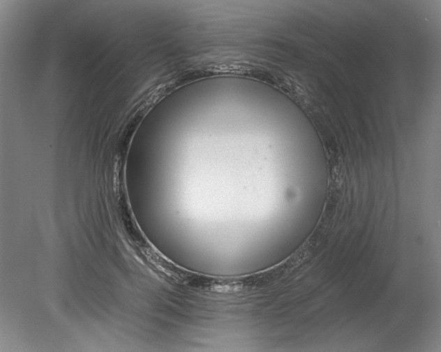 X0000080710744200701021028