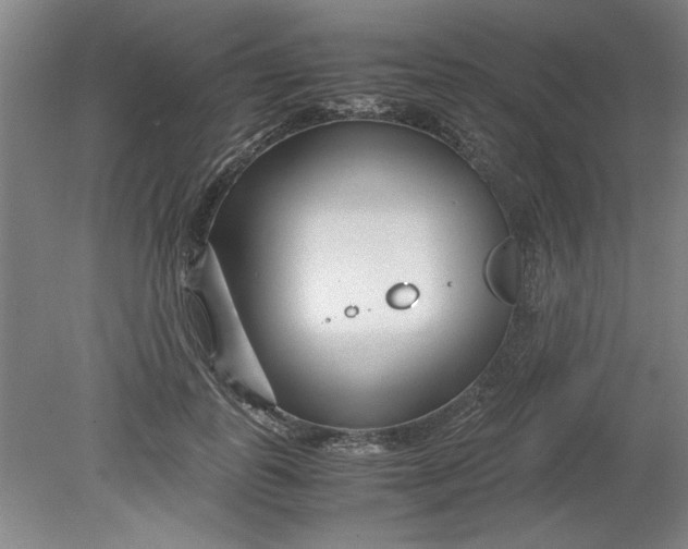 X0000080710747200701021028