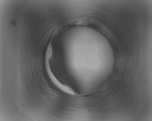 X0000080710748200701021028