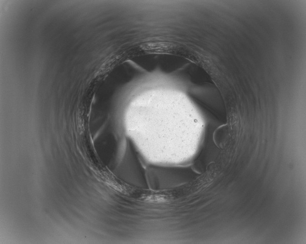 X0000080710751200701021028