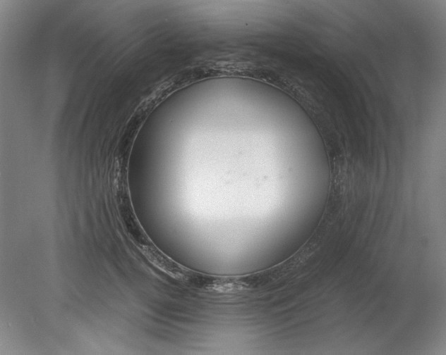 X0000080710752200701021028