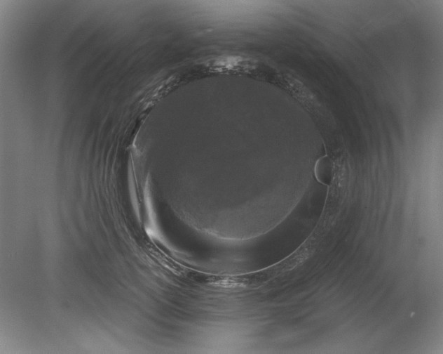 X0000080710754200701021028