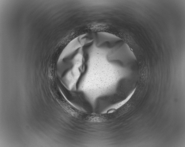 X0000080710755200701021028