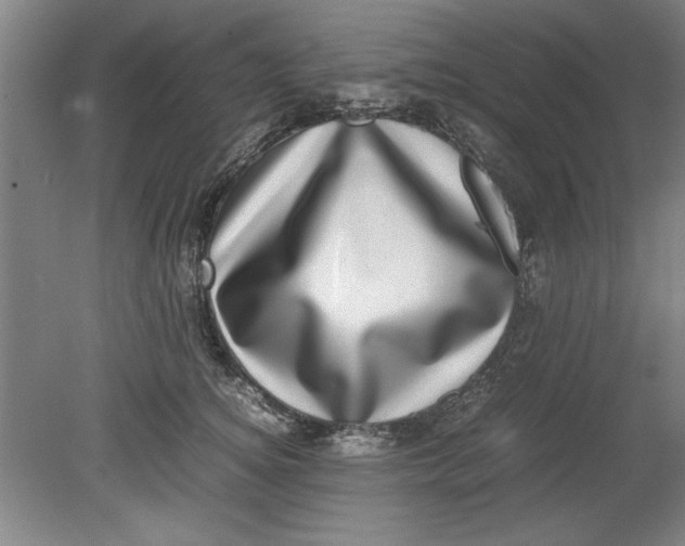 X0000080710756200701021028