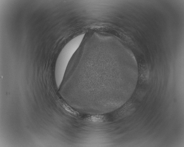 X0000080710758200701021028